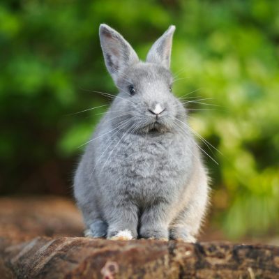 janan-lagerwall-302xfiIGOfE-unsplash
