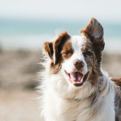 pauline-loroy-U3aF7hgUSrk-unsplash-4